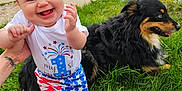 Violet is registered to the contest to win money with this photo: baby, child, dog, grass, outdoor, person, jeans, hand, smile, headband, blue_eyes, patriotic_clothing, stars, stripes, happy, animal, pet, street, greenery, holding_hands