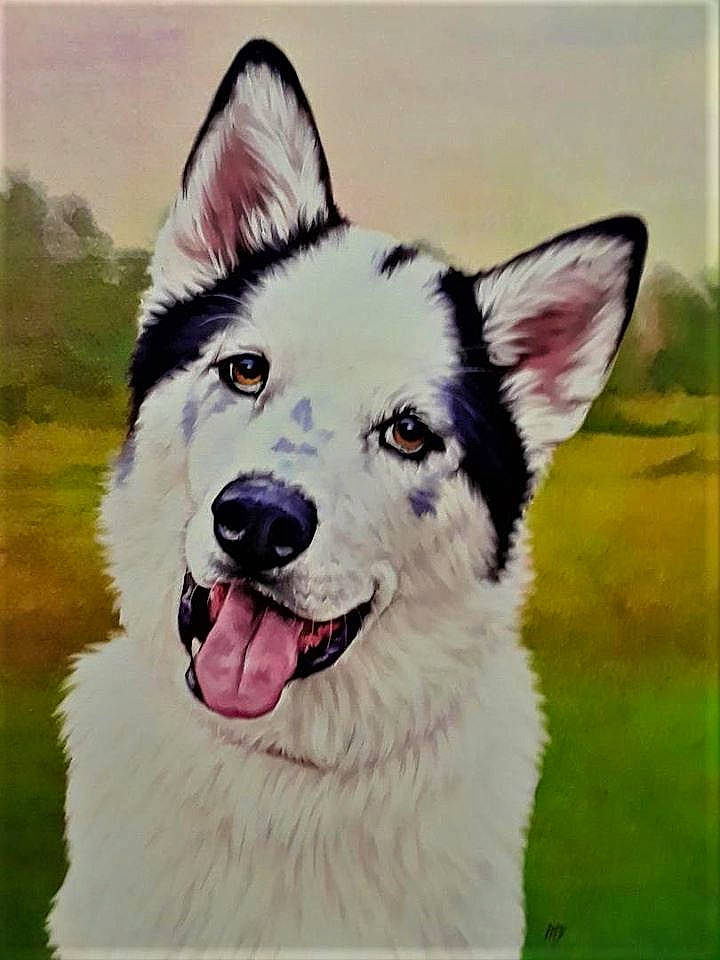 Dakota is registered to the contest to win money with this photo: acrylic_paint, alaskan_malamute, ancient_dog_breeds, canadian_eskimo_dog, canidae, carnivore, dog, dog_breed, kunming_wolfdog, mammal, native_american_indian_dog, northern_inuit_dog, painting, rare_breed_dog, saarloos_wolfdog, seppala_siberian_sleddog, siberian_husky, tamaskan_dog, vertebrate, working_dog