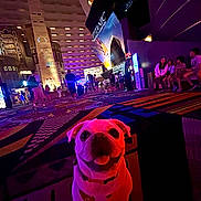 Gypsy is registered to the contest to win money with this photo: background, building_interior, carpet, collar, crowd, dog, exhibit, indoor, lights, night, people, pink_lighting, pug, purple_lighting, sitting, smiling, titanic, tongue_out, urban, vibrant_colors