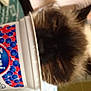 Lila is registered to the contest to win money with this photo: cat, yogurt_container, close_up, indoor, blurry, furry, face, whiskers, food, dairy, hand, packaging, blue, red, white, brown, black, cream, pet, animal