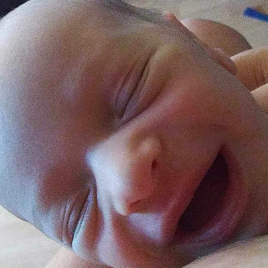 Alexzander joined the competition — help win amazing prizes! baby, baby_sleeping, birth, cheek, child, childbirth, close_up, face, finger, flesh, hand, head, lip, mouth, muscle, nap, nose, skin, sleep, thumb
