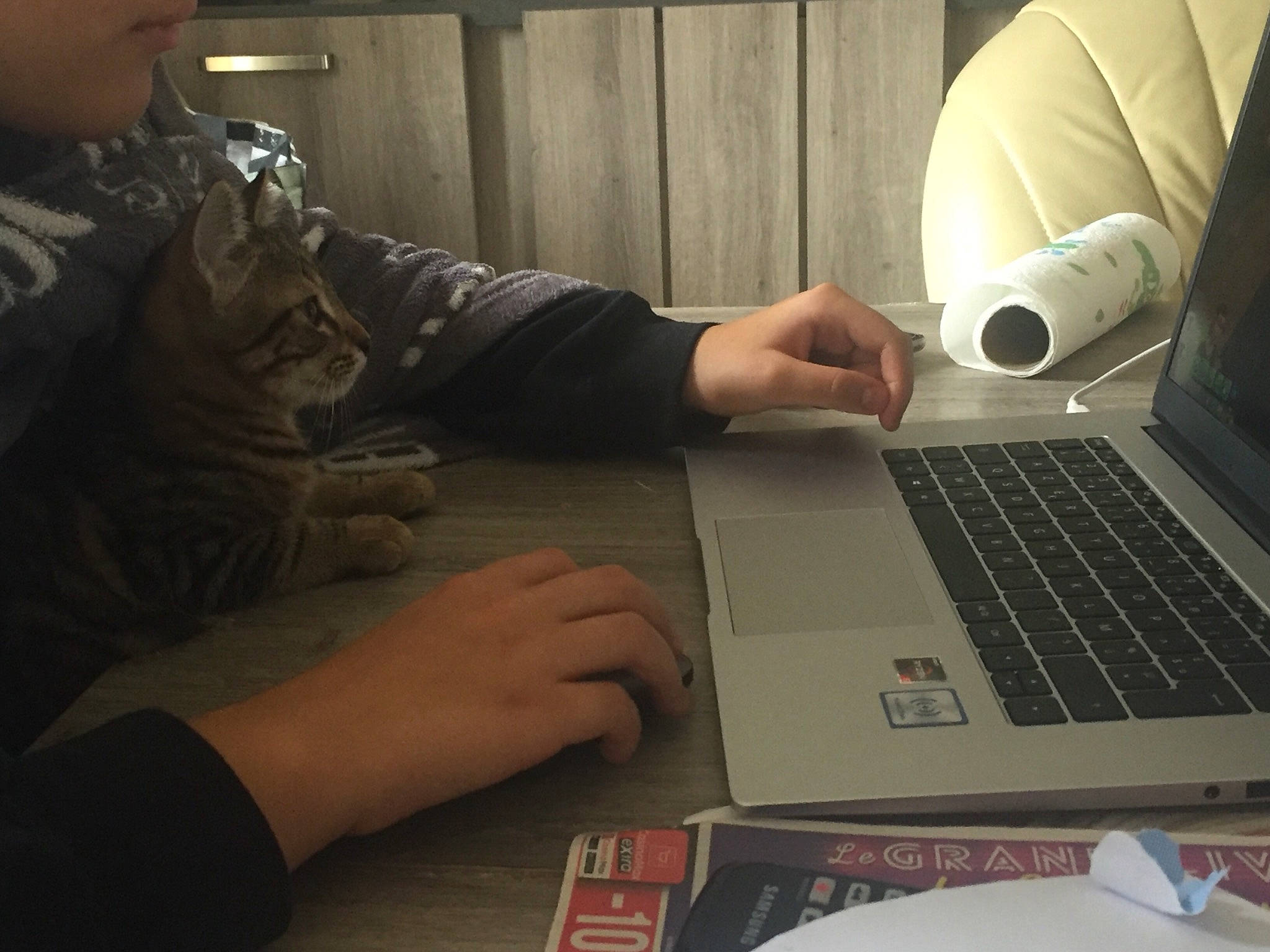 Brody participe au concours pour gagner de l'argent avec cette photo : computer, computer_keyboard, design, electronic_device, finger, games, gesture, hand, laptop, nail, netbook, technology, typing