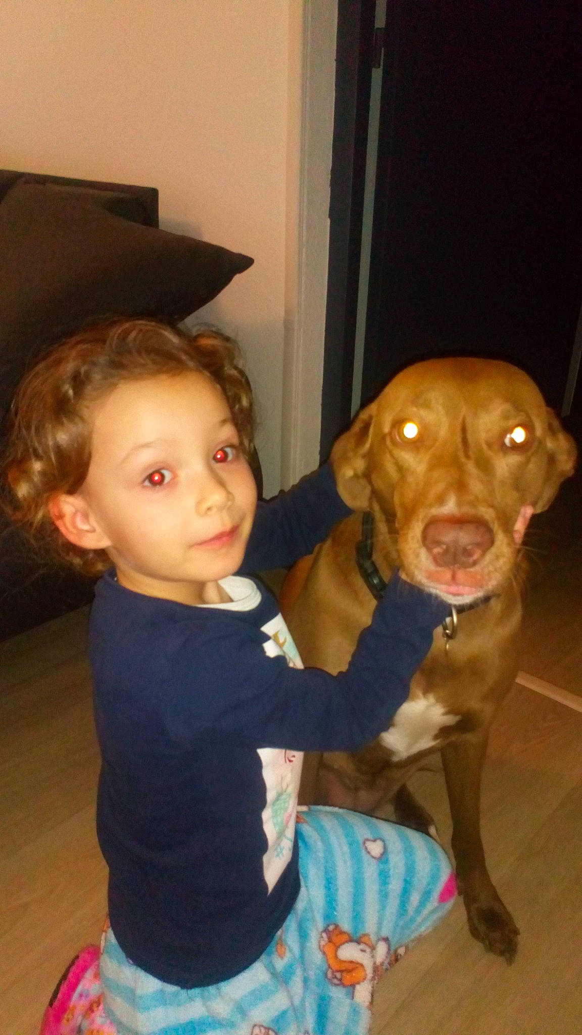 Vodka a rejoint le concours — aidez-le/la à gagner de superbes lots ! baby, beagador, canidae, carnivore, child, companion_dog, dog, dog_breed, ear, fawn, labrador_retriever, nose, person, pit_bull, pointing_breed, skin, smile, sporting_group, toddler, vizsla