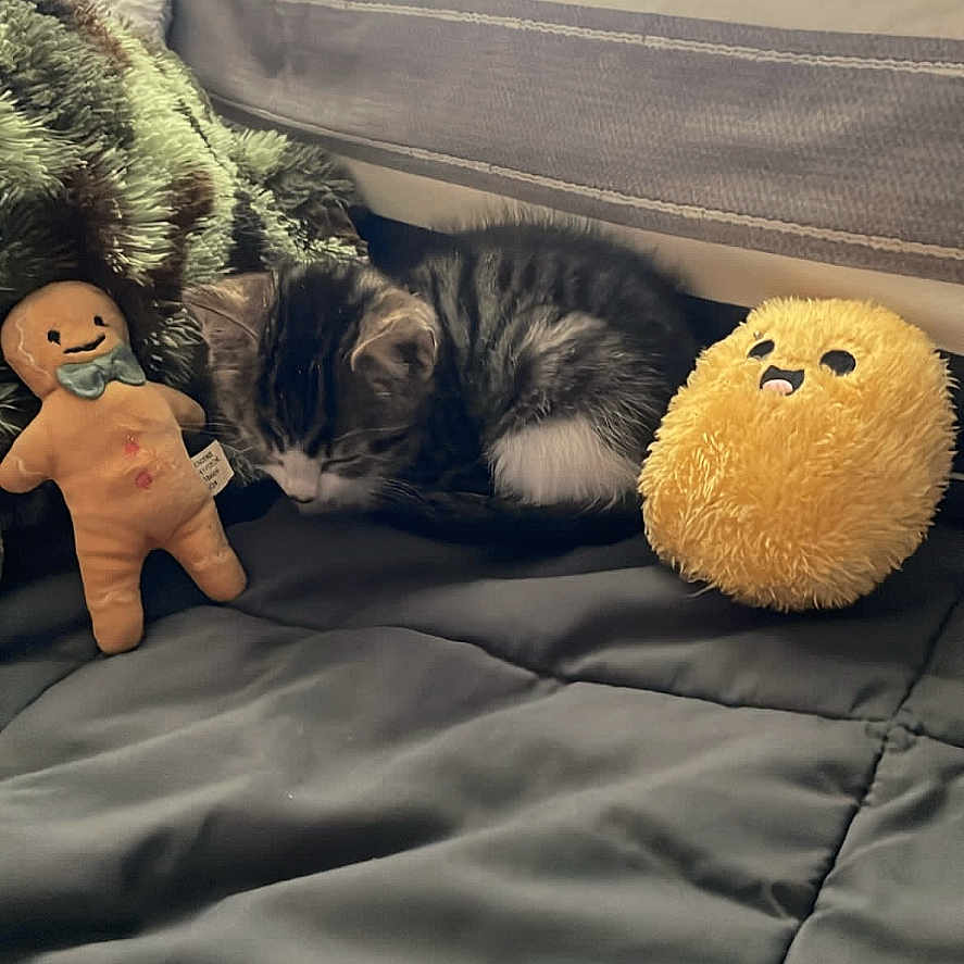 Luna