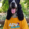 animal, black_and_white, camping, centered_composition, club_logo, dog, forest, funny, greenery, long_hair, natural_light, open_mouth, outdoor, pet, portrait, sitting, t_shirt, tongue_out, trees, yellow_shirt