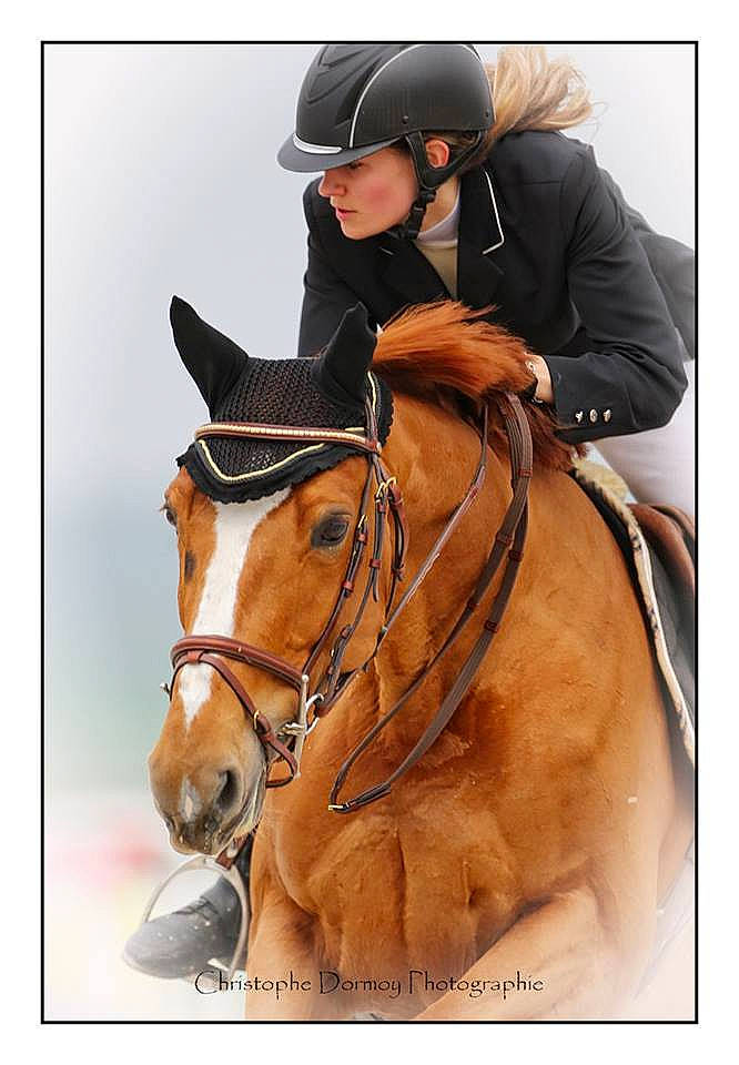 Ulm De La Haye participe au concours pour gagner de l'argent avec cette photo : animal_sports, bridle, english_riding, equestrian_helmet, equestrian_sport, equestrianism, equitation, halter, helmet, horse, horse_harness, horse_supplies, horse_tack, mammal, mare, personal_protective_equipment, recreation, rein, saddle, vertebrate