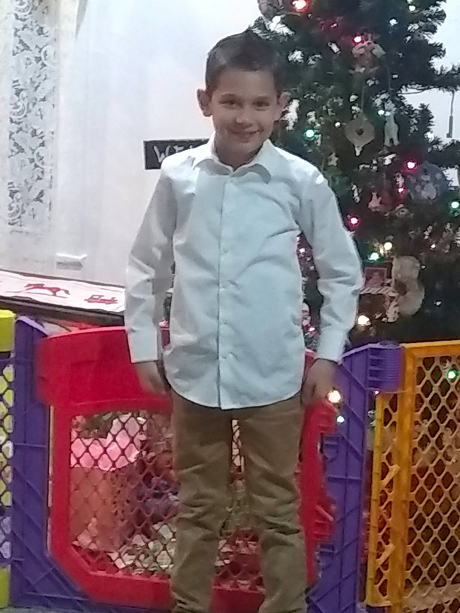 Liam joined the competition — help win amazing prizes! christmas, christmas_decoration, christmas_ornament, christmas_tree, conifer, dress_shirt, event, formal_wear, fun, happy, holiday, joy, magenta, pattern, person, red, sleeve, smile, standing, tie