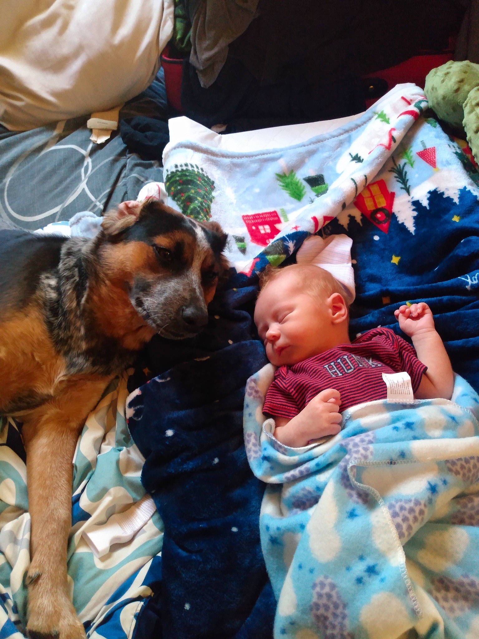 Shane joined the competition — help win amazing prizes! baby, baby_toddler_clothing, carnivore, child, comfort, companion_dog, dog, dog_breed, event, fawn, fun, fur, happy, interaction, linens, person, t_shirt, textile, toddler, toy_dog