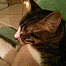 Titou participe au concours pour gagner de l'argent avec cette photo :