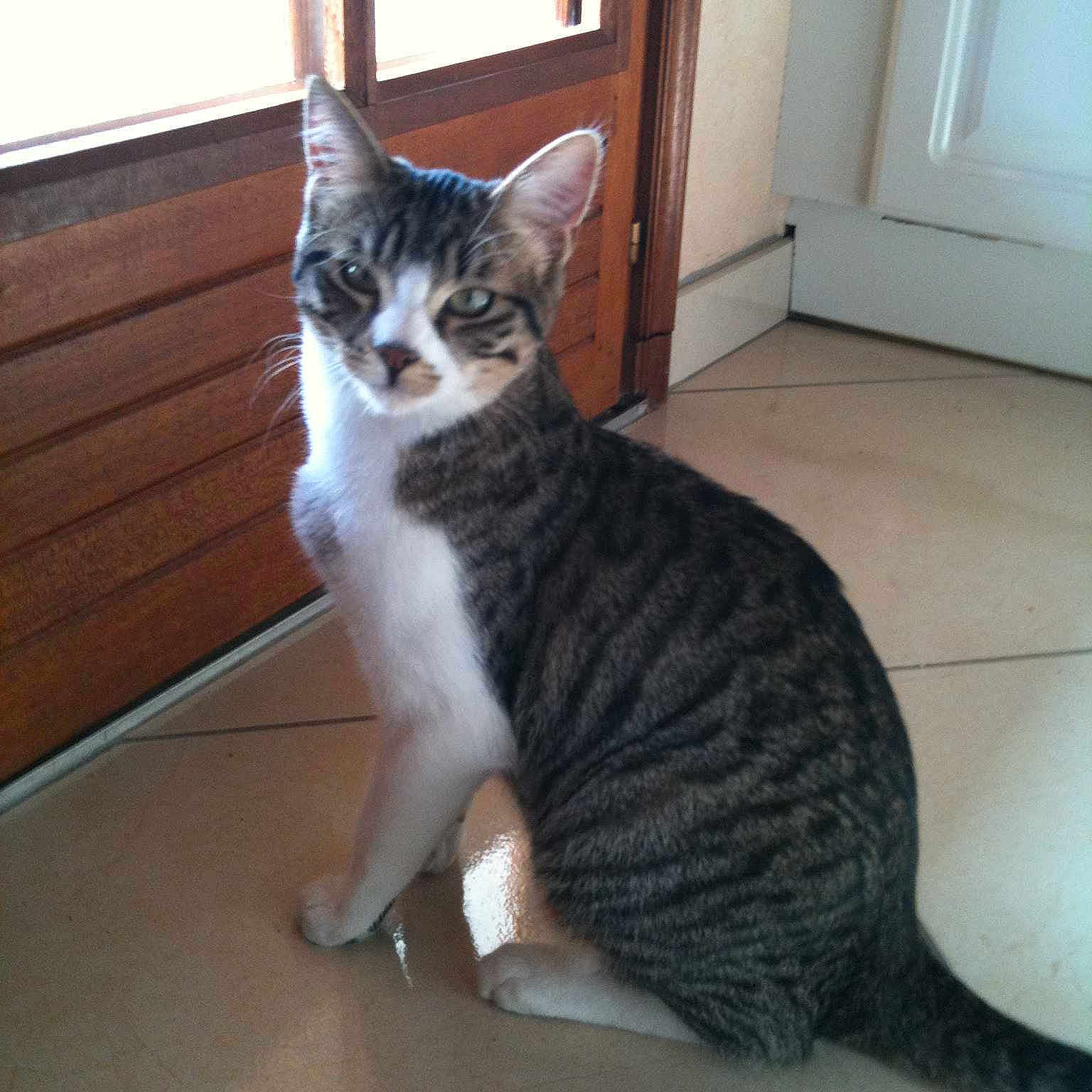 Titou