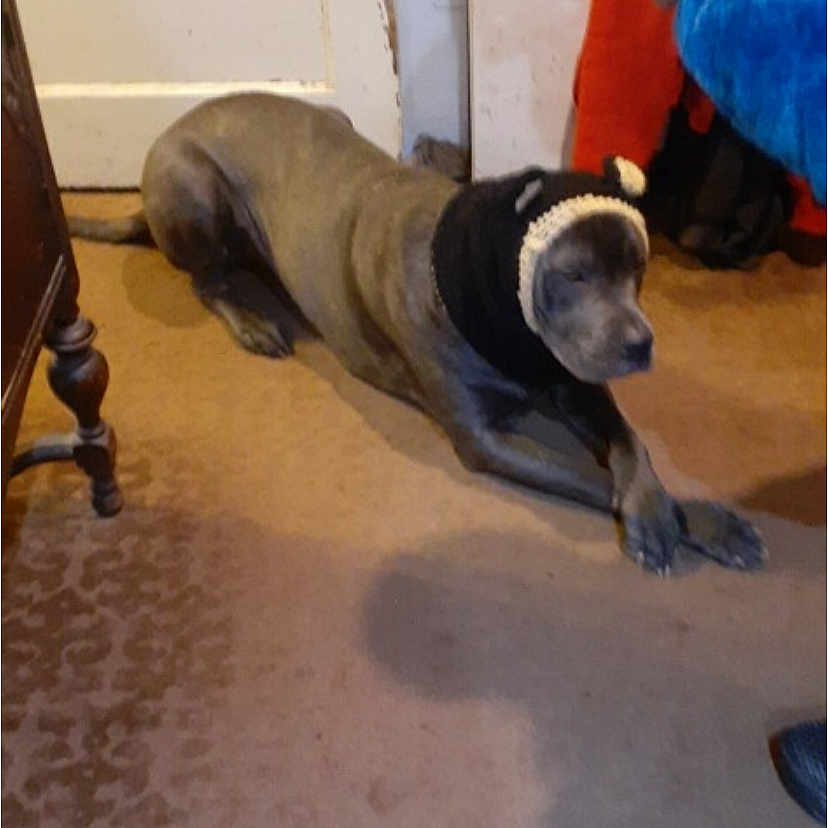 George Aka Georgie