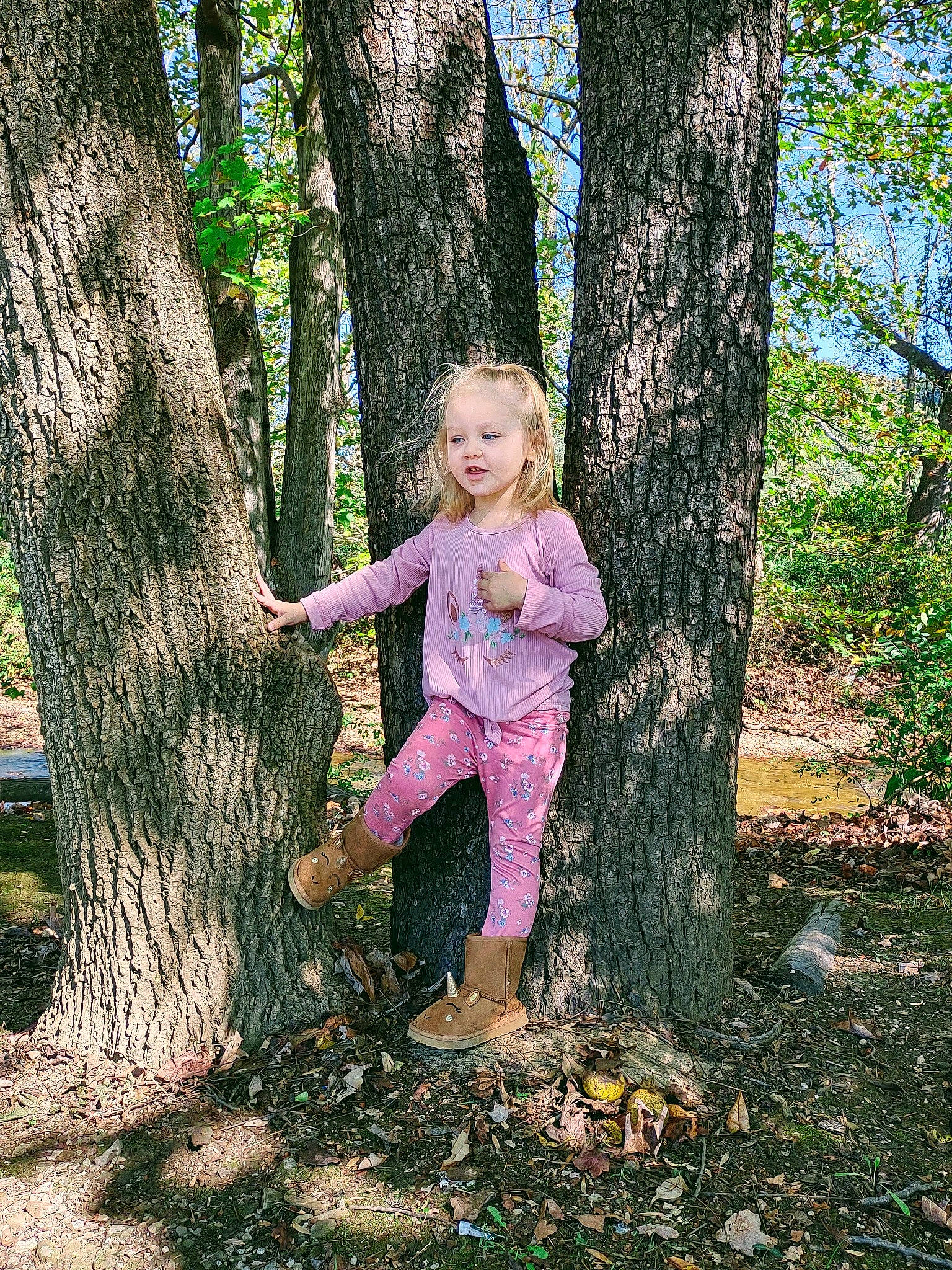 Kinsley is registered to the contest to win money with this photo: deciduous, eye, forest, fun, gesture, grass, grove, happy, human_body, natural_landscape, people_in_nature, person, plant, terrestrial_plant, tints_and_shades, toddler, tree, trunk, wood, woodland