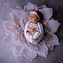 baby, infant, flower, white, headband, knitwear, wrapped, soft, portrait, studio, cute, newborn, peaceful, decorative, props, child, face, hands, feet, sleepwear