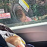 Ahvi is registered to the contest to win money with this photo: baby, infant, child, sleeping, car, car_seat, vehicle, passenger, rear_seat, safety_belt, windshield, reflection, warning_sticker, pink_clothing, blond_hair, nap, travel, interior, parenting, daylight