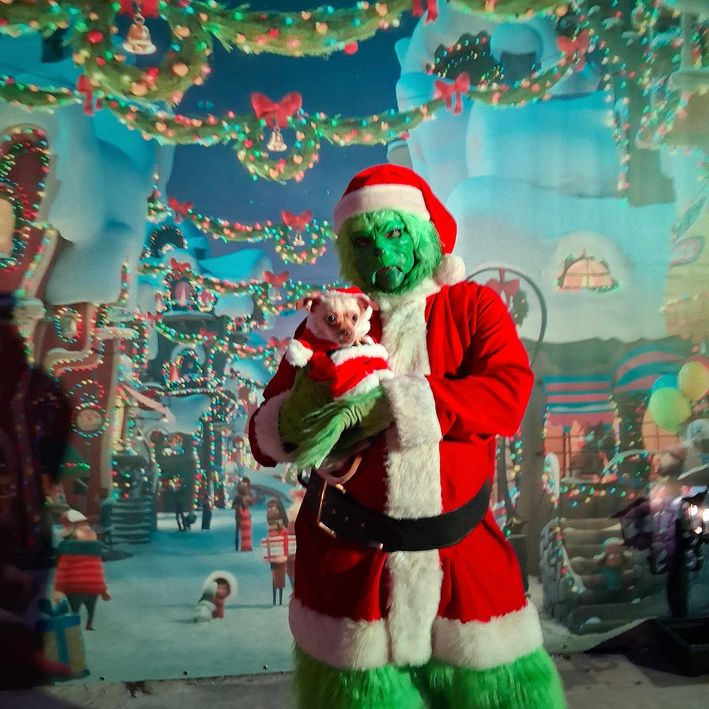 Simba is registered to the contest to win money with this photo: background, celebration, christmas, costume, decorations, dog, festive, green_fur, grinch, holding, holiday, lights, night, outdoor, person, pet, red_clothing, santa_outfit, small_dog, winter