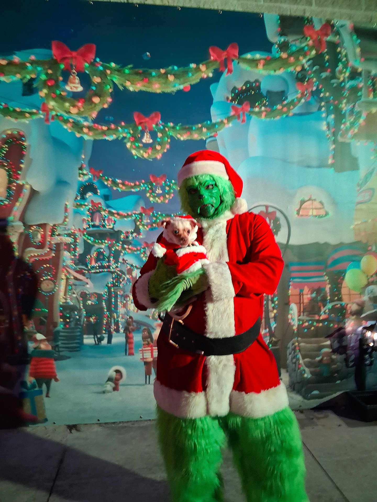 Simba is registered to the contest to win money with this photo: person, costume, grinch, dog, pet, holiday, christmas, santa_outfit, festive, lights, decorations, background, celebration, winter, green_fur, red_clothing, small_dog, holding, outdoor, night