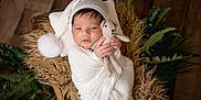 Elijah is registered to the contest to win money with this photo: newborn, baby, wrapped, blanket, white_hat, knitted_teddy_bear, wooden_basket, fur, green_leaves, plant, soft_texture, cute, sleepy, infant, portrait, indoors, cozy, child, hands, face