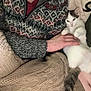 cat, person, hand, sweater, knitwear, blanket, cushion, striped_tail, white_cat, patterned_clothing, indoor, cozy, petting, resting, comfort, feline, warm, relaxed, seated, textured_fabric