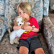 Dolce is registered to the contest to win money with this photo: child, puppy, dog, armchair, patterned_fabric, red_shirt, blue_eyes, blond_hair, shorts, indoor, cute, hugging, pet, young, comfort, affection, fluffy, seated, home, cozy