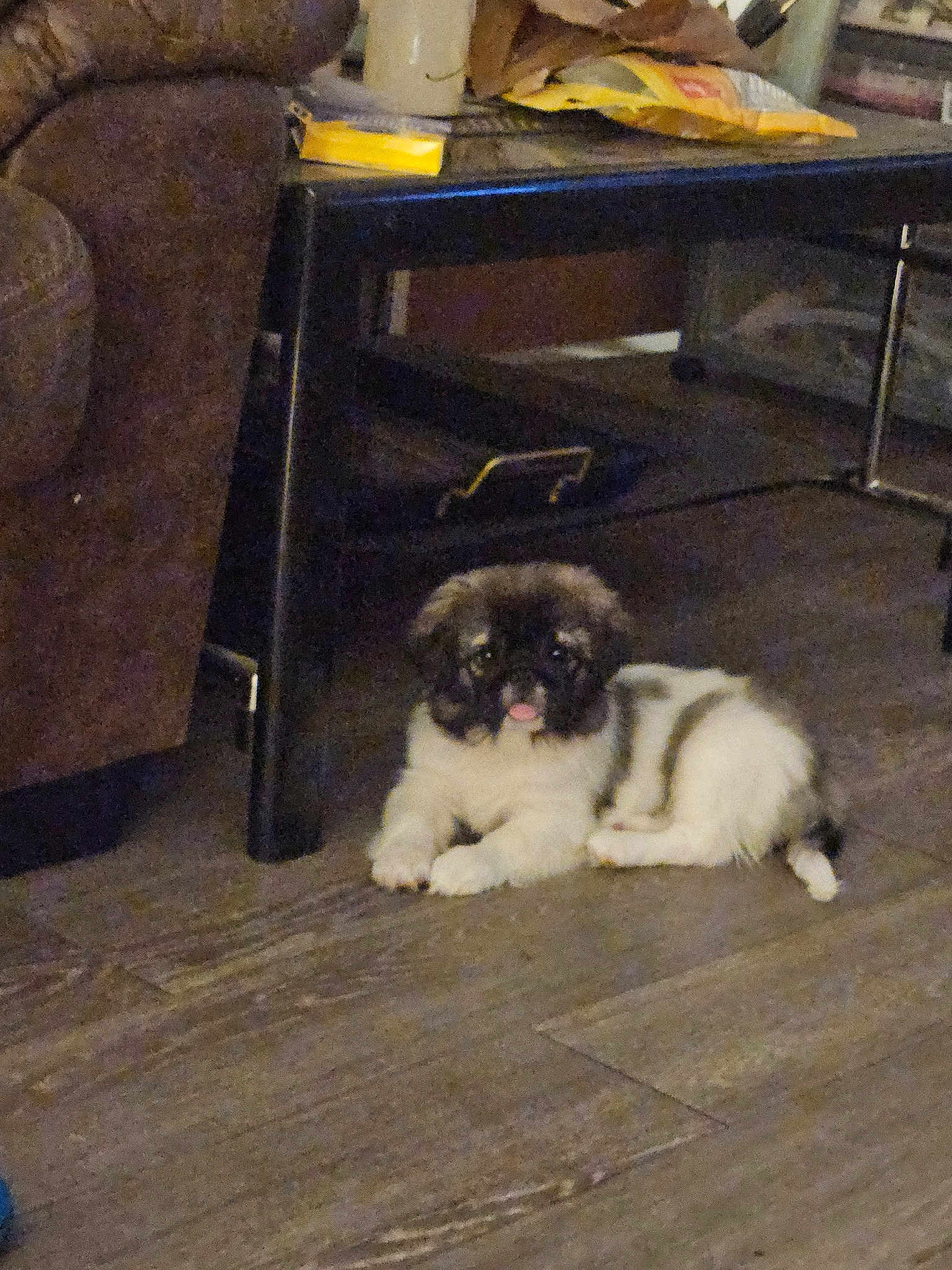 Sookie