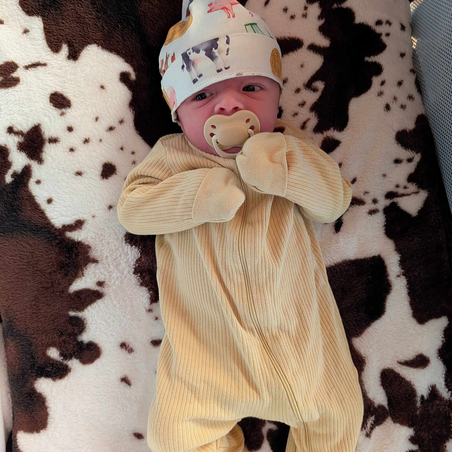 Elias is registered to the contest to win money with this photo: baby, blanket, child, comfort, cow_print, cute, fabric, face, hat, headwear, human, indoors, infant, lying_down, newborn, onesie, pacifier, sleepwear, small, soft_texture