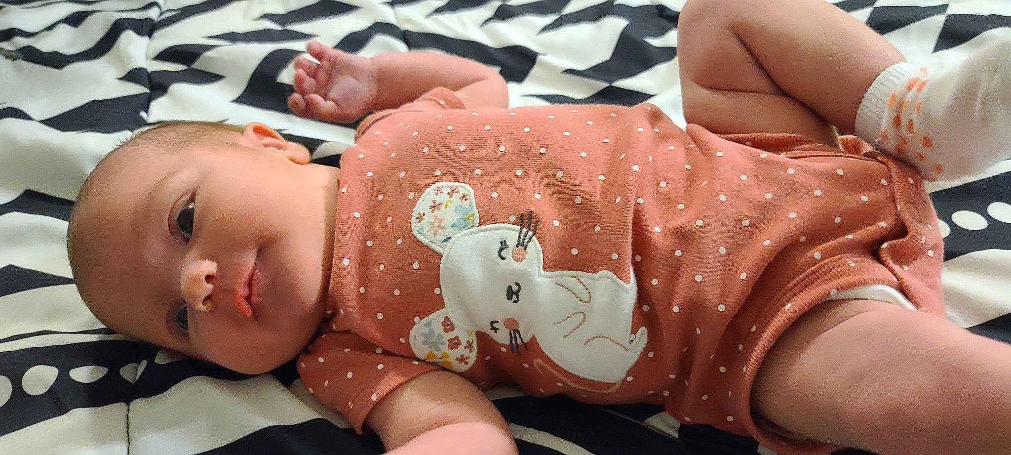 Emery joined the competition — help win amazing prizes! baby, baby_toddler_clothing, beauty, cheek, child, comfort, finger, happy, human_body, human_leg, joint, muscle, nail, pattern, person, pink, skin, sleeve, textile, thigh