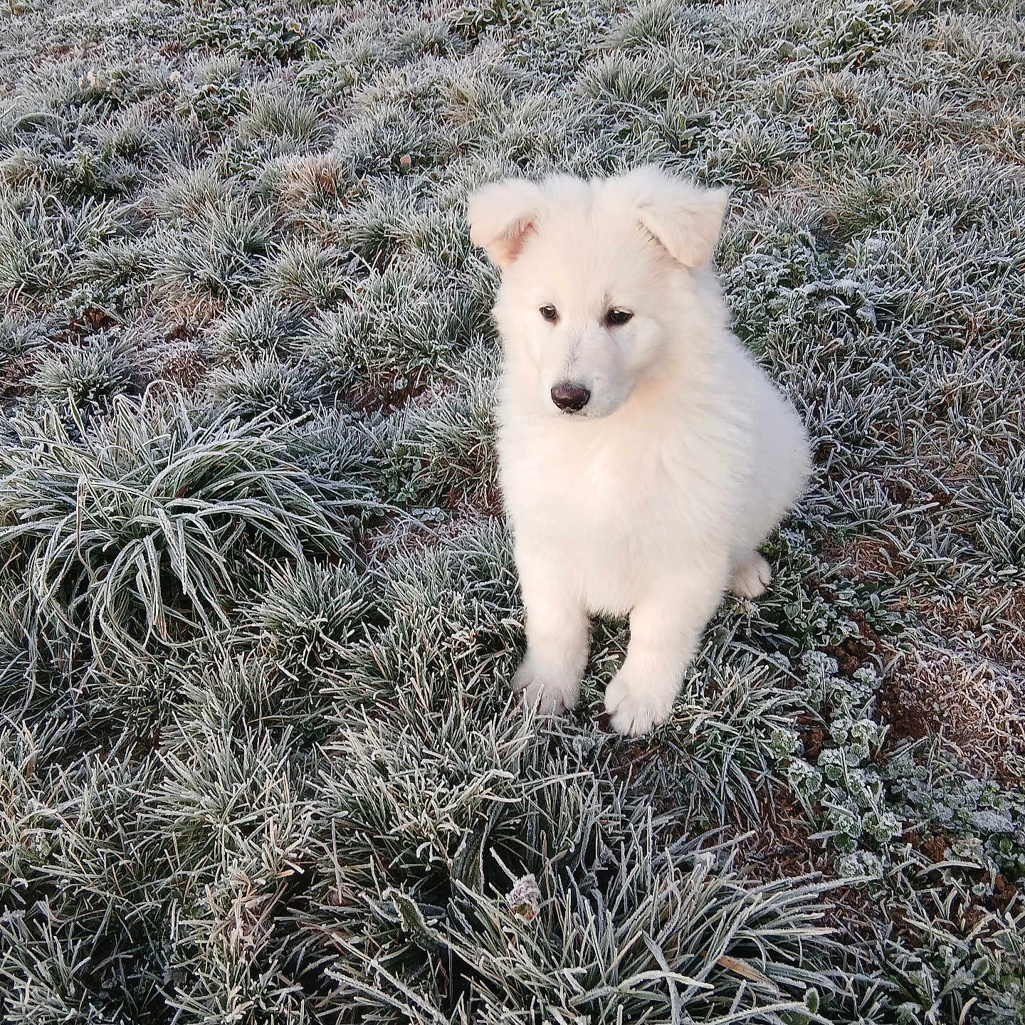 Alaska