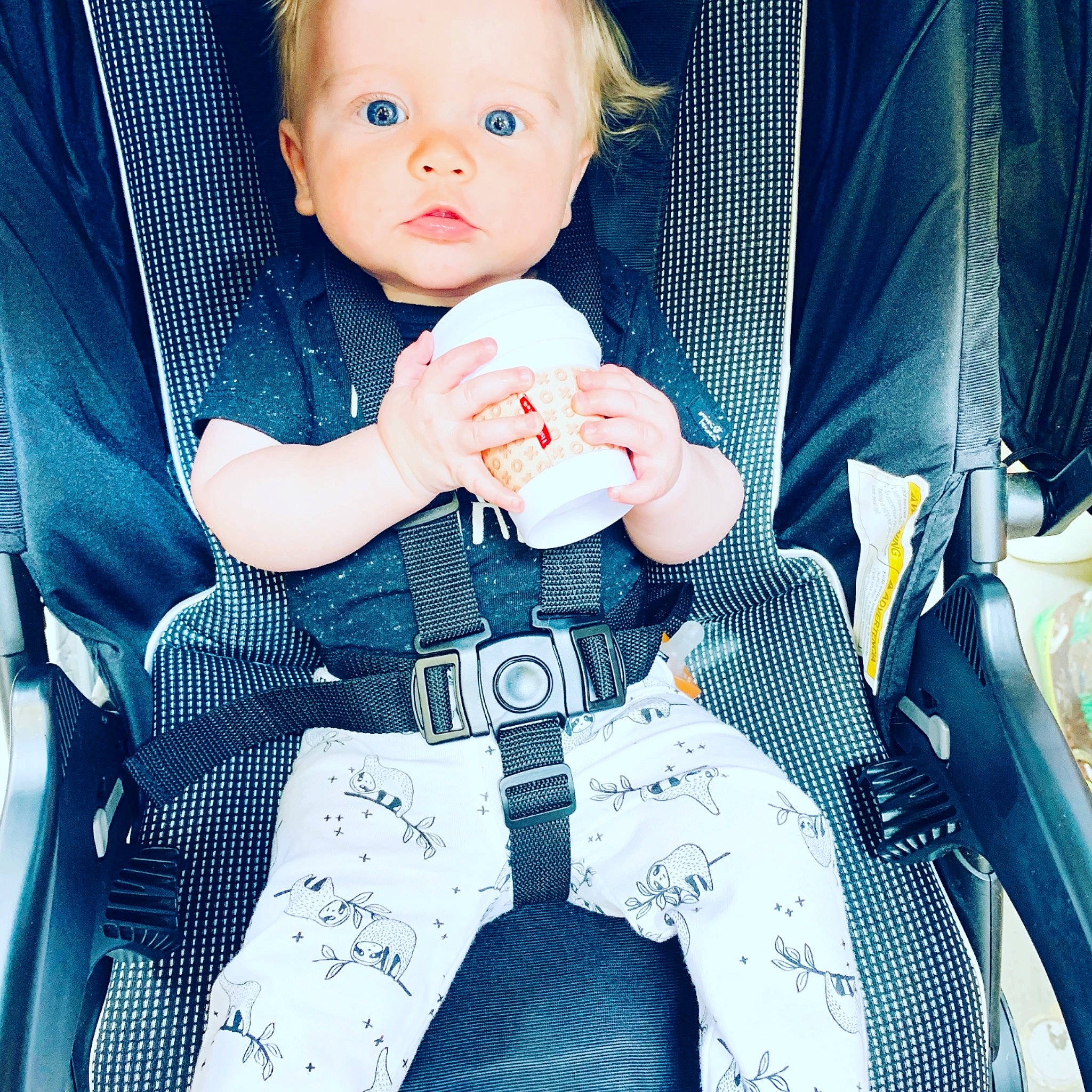 Raleigh joined the competition — help win amazing prizes! baby, baby_carriage, baby_in_car_seat, baby_products, blue, car_seat, cheek, child, cool, design, eye, fun, hand, pattern, person, play, product, sitting, skin, toddler