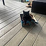 black_cat, cat, box, cardboard_box, wooden_porch, boots, outdoor, furniture, pet, animal, relaxing, home, domestic, yellow_eyes, daylight, casual, resting, floor, small_box, curious