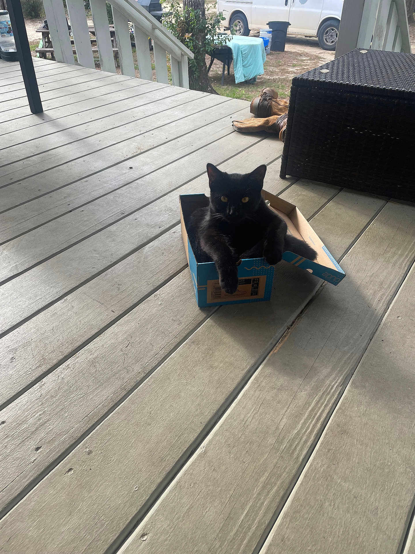 Apolo is registered to the contest to win money with this photo: black_cat, cat, box, cardboard_box, wooden_porch, boots, outdoor, furniture, pet, animal, relaxing, home, domestic, yellow_eyes, daylight, casual, resting, floor, small_box, curious