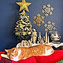 blue_wall, cat, christmas_tree, cozy, decorative_trees, festive, glass_vase, golden_star, holiday_decor, indoor, joy_letters, nutcracker, orange_cat, pet, red_blanket, relaxation, resting, sleeping, snowflakes, white_cat