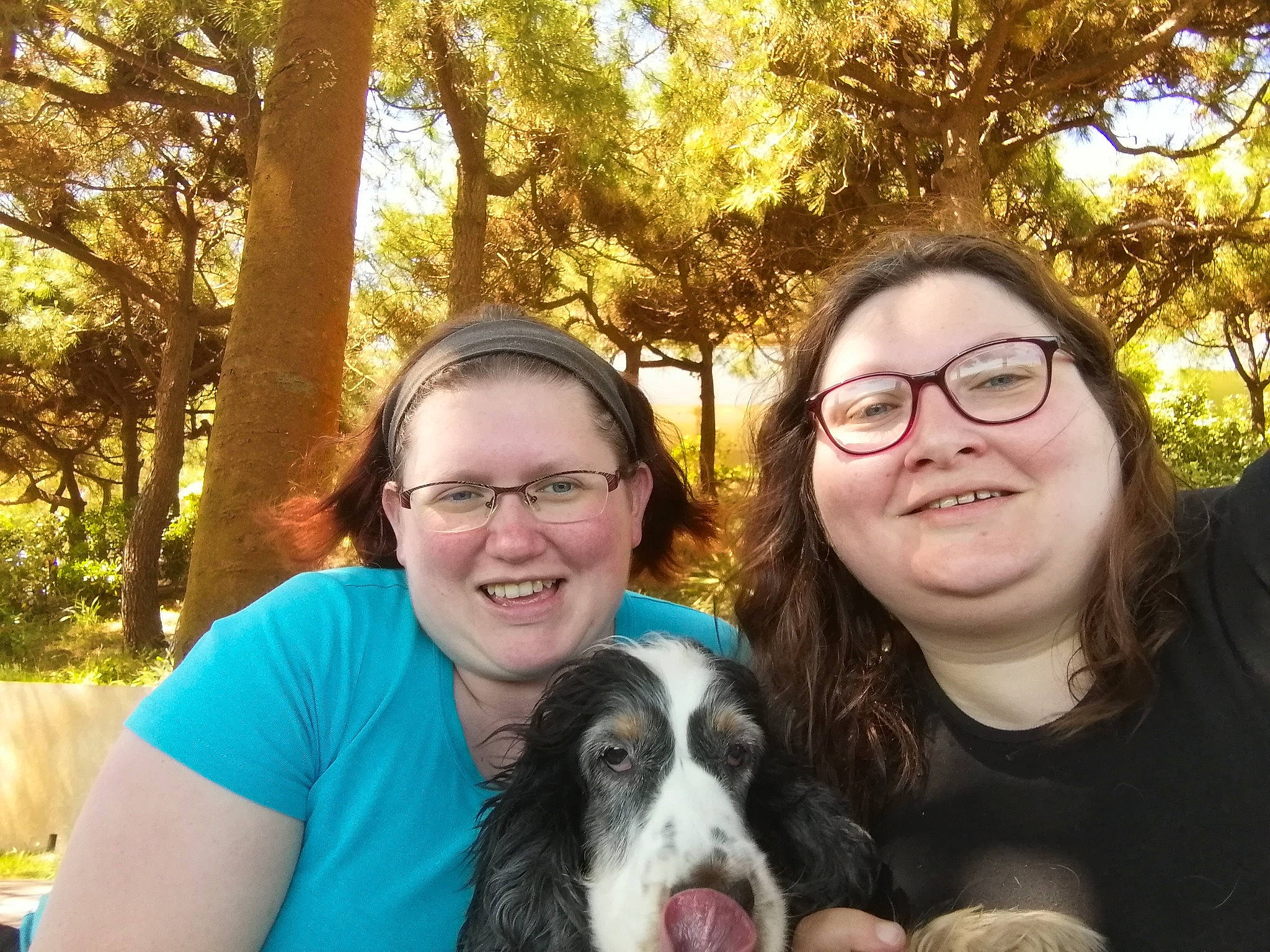 Dahlia a rejoint le concours — aidez-le/la à gagner de superbes lots ! canidae, carnivore, companion_dog, dog, dog_breed, dog_walking, english_springer_spaniel, family, friendship, fun, happy, love, people, photography, selfie, small_munsterlander, smile, spaniel, sporting_group, tree