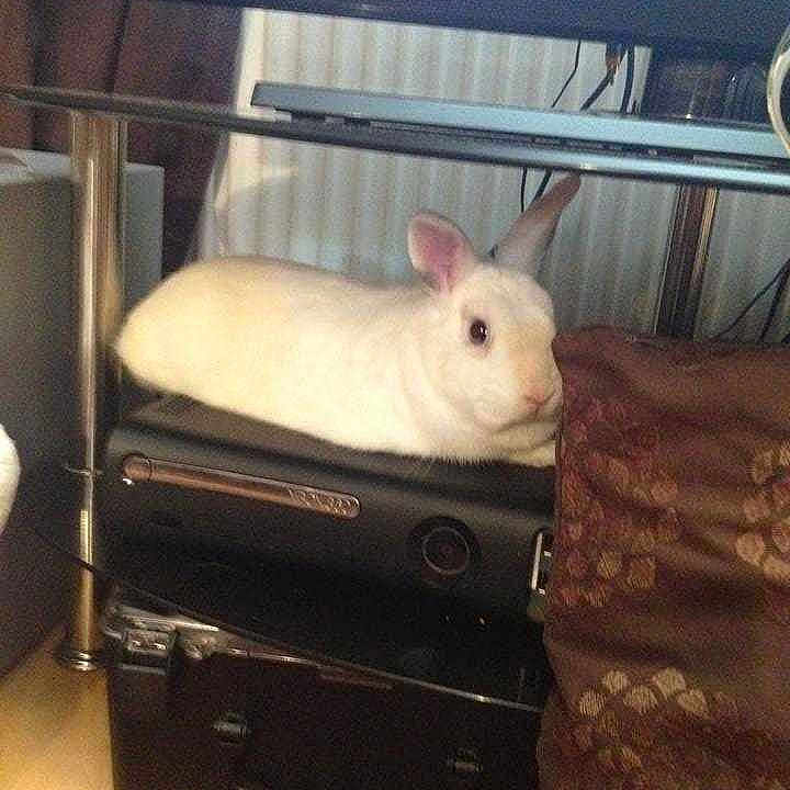 Milk joined the competition — help win amazing prizes!