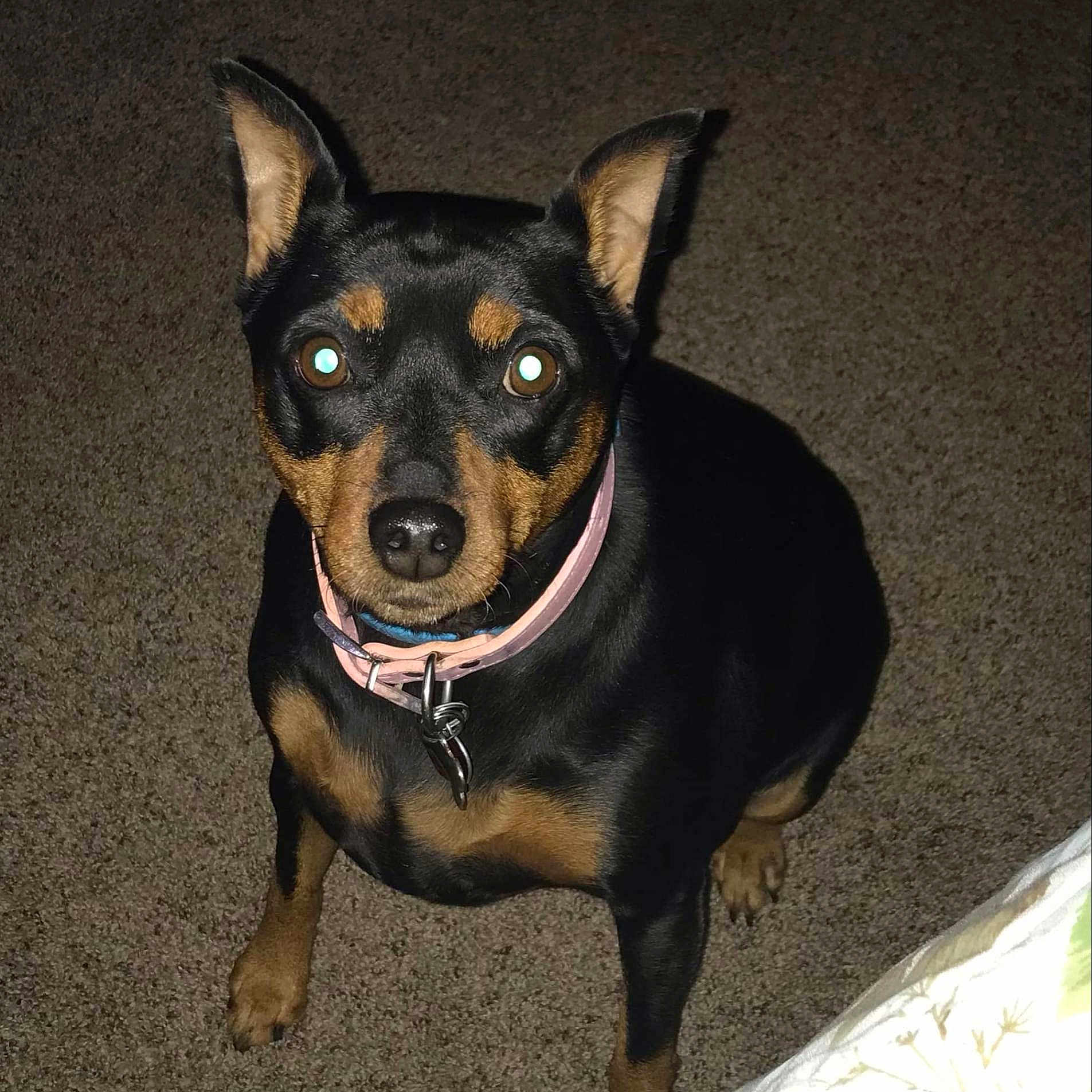 Princess