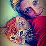 person, cat, orange_tabby, face, eyes, whiskers, pillow, snuggling, close_up, indoor, relaxing, cozy, pet, animal, human, resting, comfort, red_clothing, hair, expression