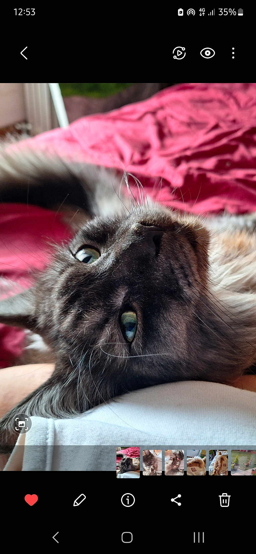 Boris