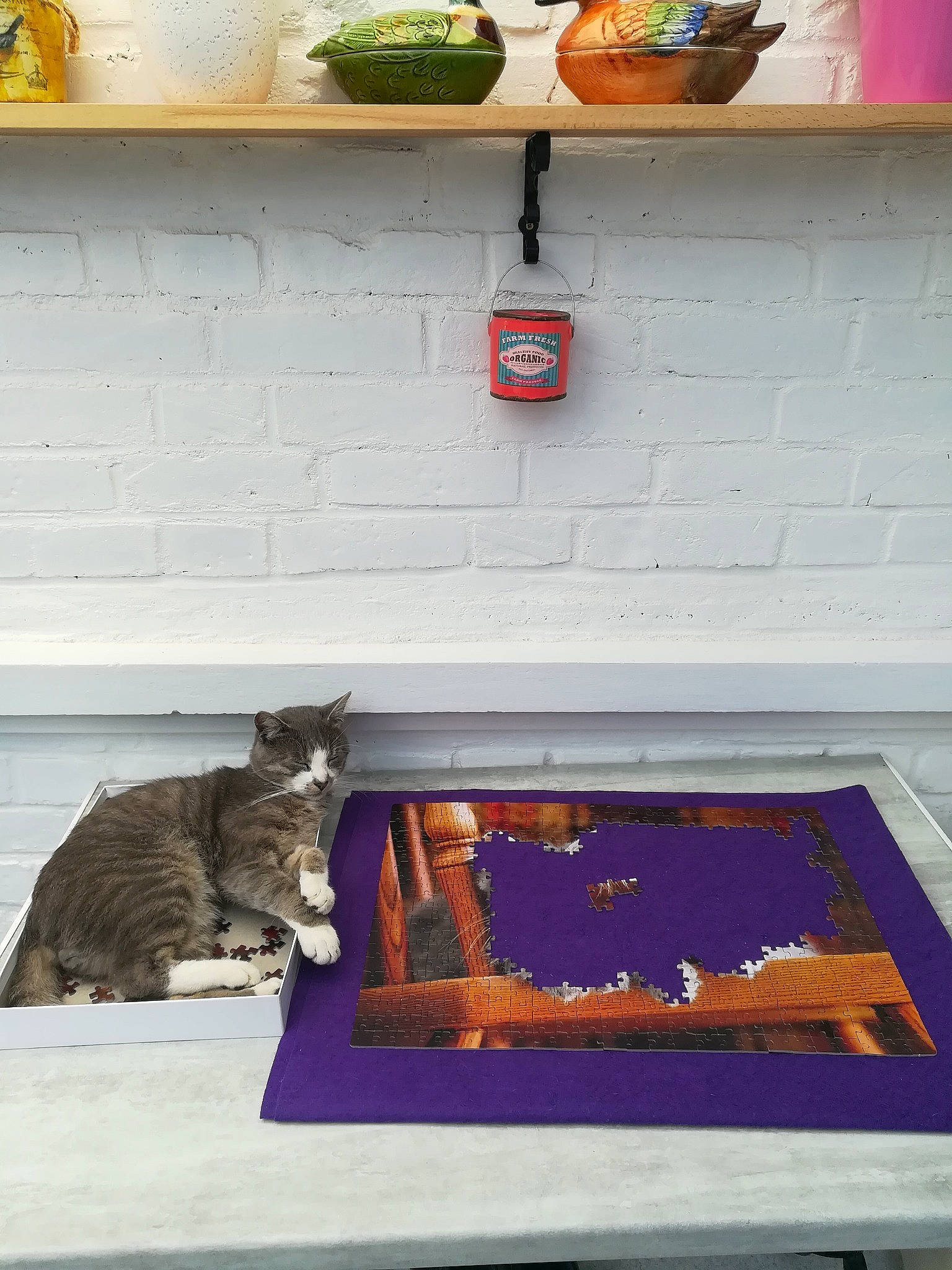 Tigri a rejoint le concours — aidez-le/la à gagner de superbes lots ! art, cat, felidae, furniture, room, shelf