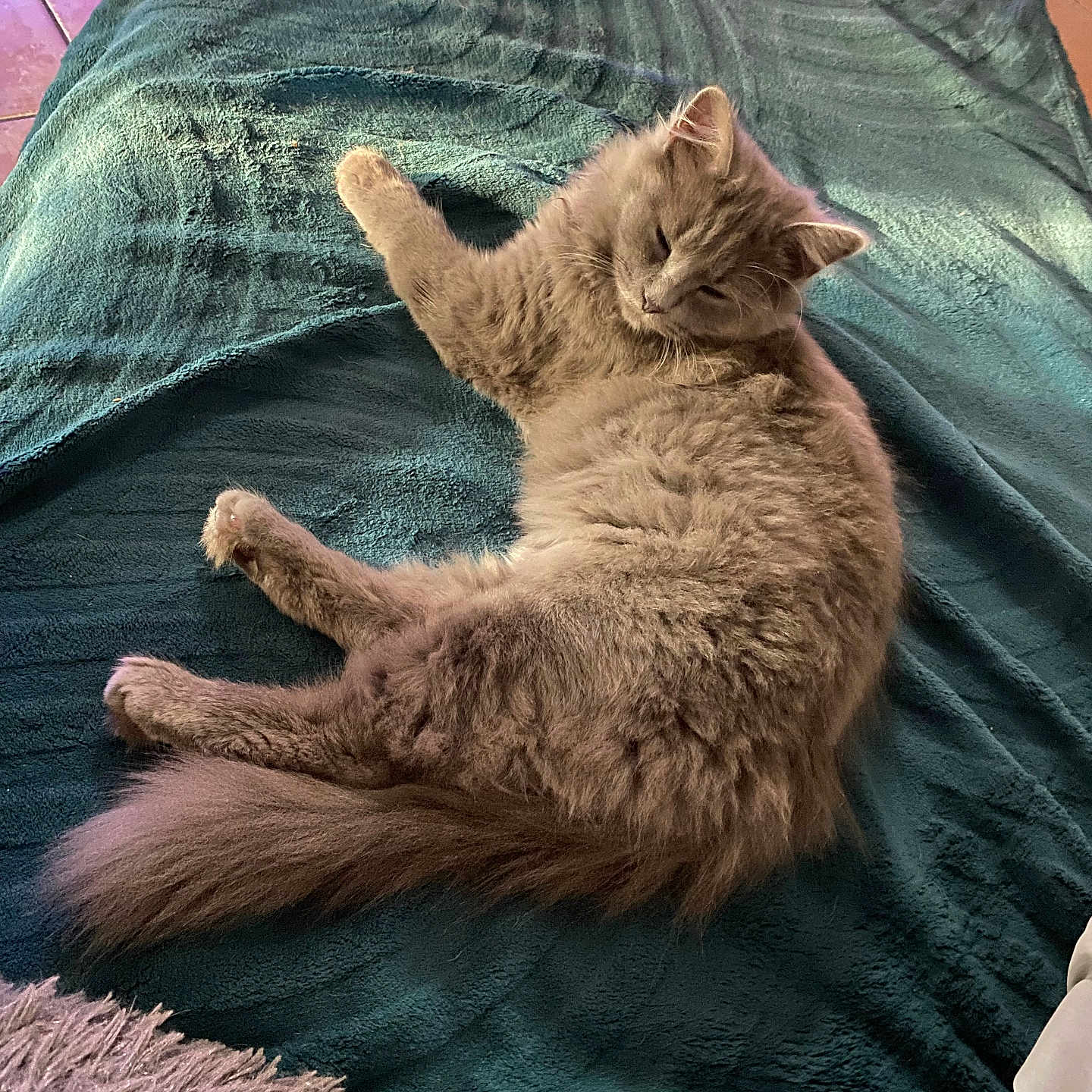 Athena