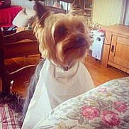 Easton participe au concours pour gagner de l'argent avec cette photo :