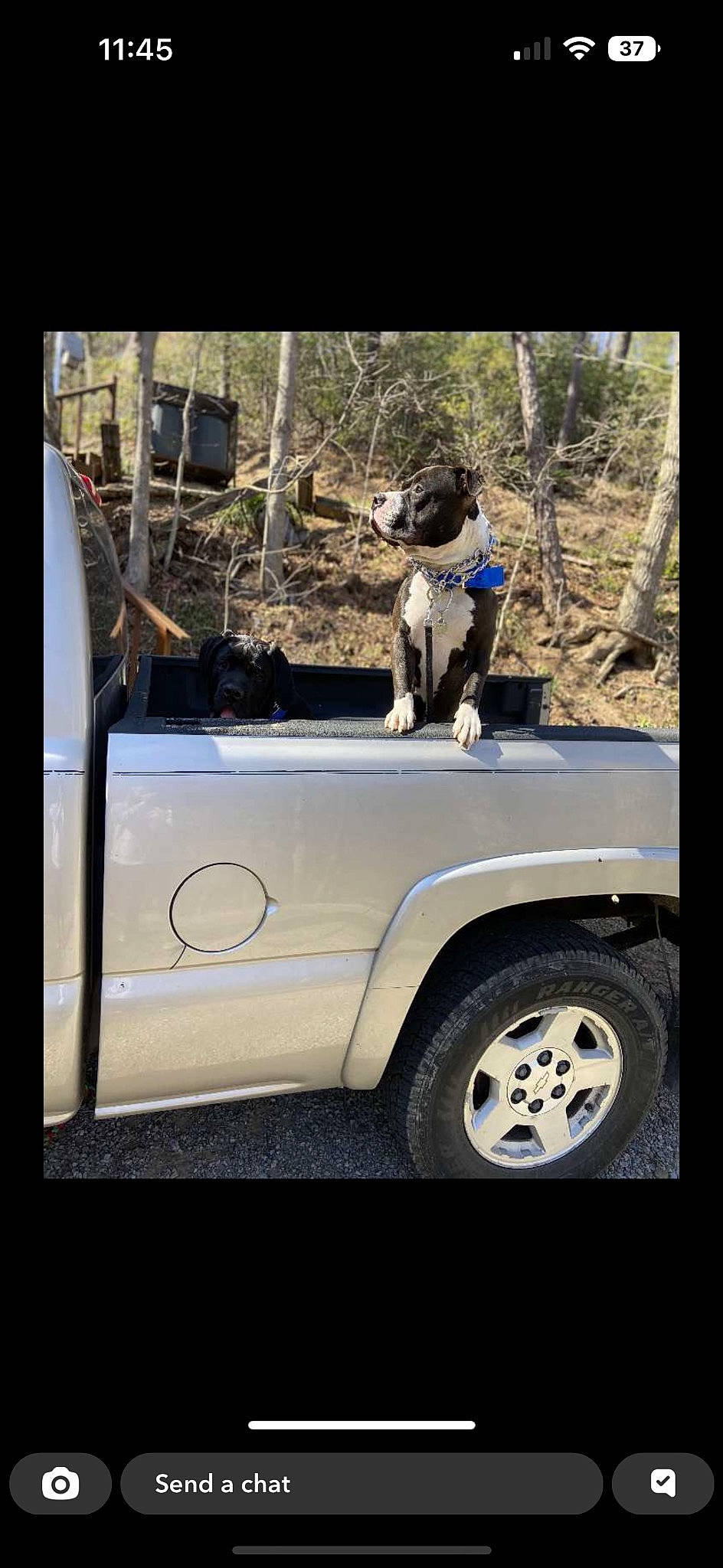 Rocko is registered to the contest to win money with this photo: alloy_wheel, automotive_design, automotive_exterior, automotive_lighting, automotive_tire, bumper, car, fender, hood, mode_of_transport, motor_vehicle, plant, rim, tire, tree, vehicle, vehicle_door, wheel, window, woody_plant