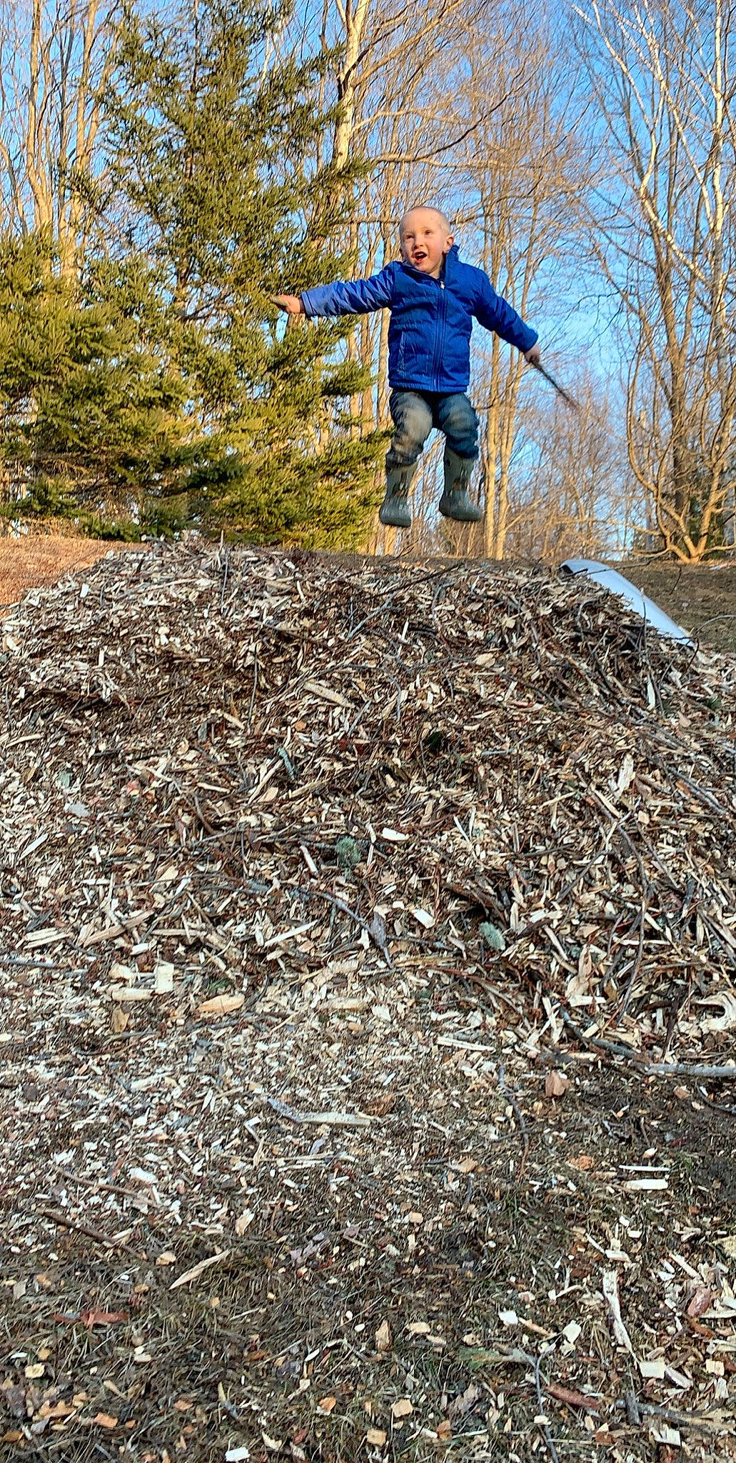 Maddix joined the competition — help win amazing prizes! compost, mulch, person, plant, rock, soil, tree