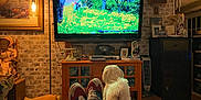 Benji is registered to the contest to win money with this photo: blanket, brick_wall, cabinet, couch, decor, dog, floor_lamp, footwear, indoor, lamp, living_room, painting, person, pet, pillow, relaxing, shoes, television, vintage_telephone, wooden_furniture