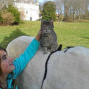 Vagabon du lilas participe au concours pour gagner de l'argent avec cette photo :