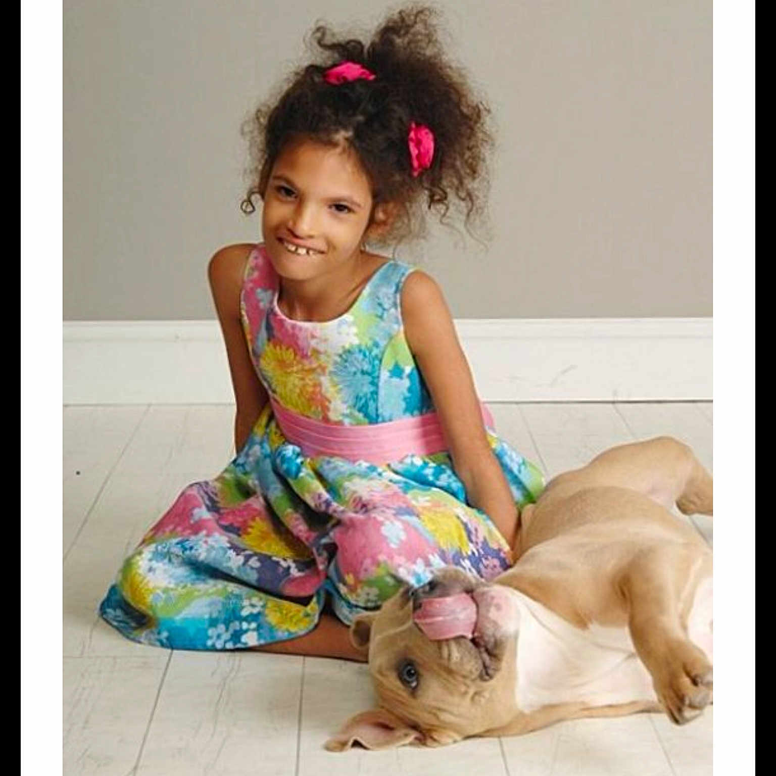 Scrappy Doo is registered to the contest to win money with this photo: beauty, canidae, child, child_model, companion_dog, dress, fashion, fawn, french_bulldog, hair, hairstyle, happy, human, joy, long_hair, non_sporting_group, person, photo_shoot, play, sitting