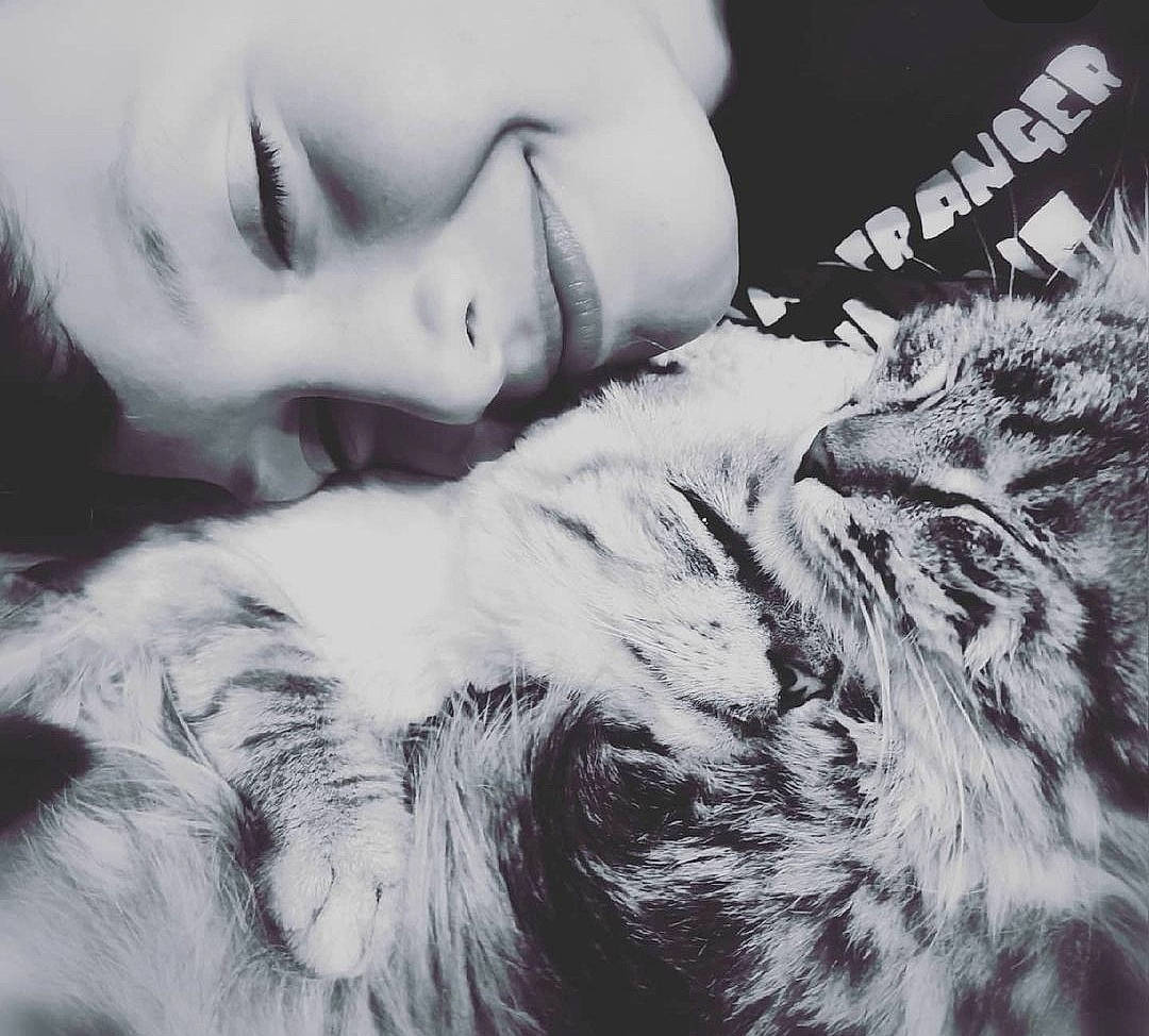 Amy Et Roxy a rejoint le concours — aidez-le/la à gagner de superbes lots ! bed, bedding, cloud, comfort, eyelash, feather, felidae, fur, gesture, grey, happy, linens, monochrome, monochrome_photography, nap, pattern, small_to_medium_sized_cats, style, textile, whiskers