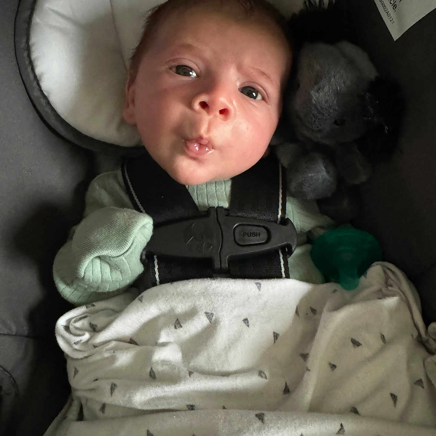 Malakai is registered to the contest to win money with this photo: baby, blanket, car_seat, child, clothing, cute, expression, face, green_mitten, head_support, indoor, infant, newborn, pacifier, plush_toy, portrait, pucker, seatbelt, soft_toy, straps