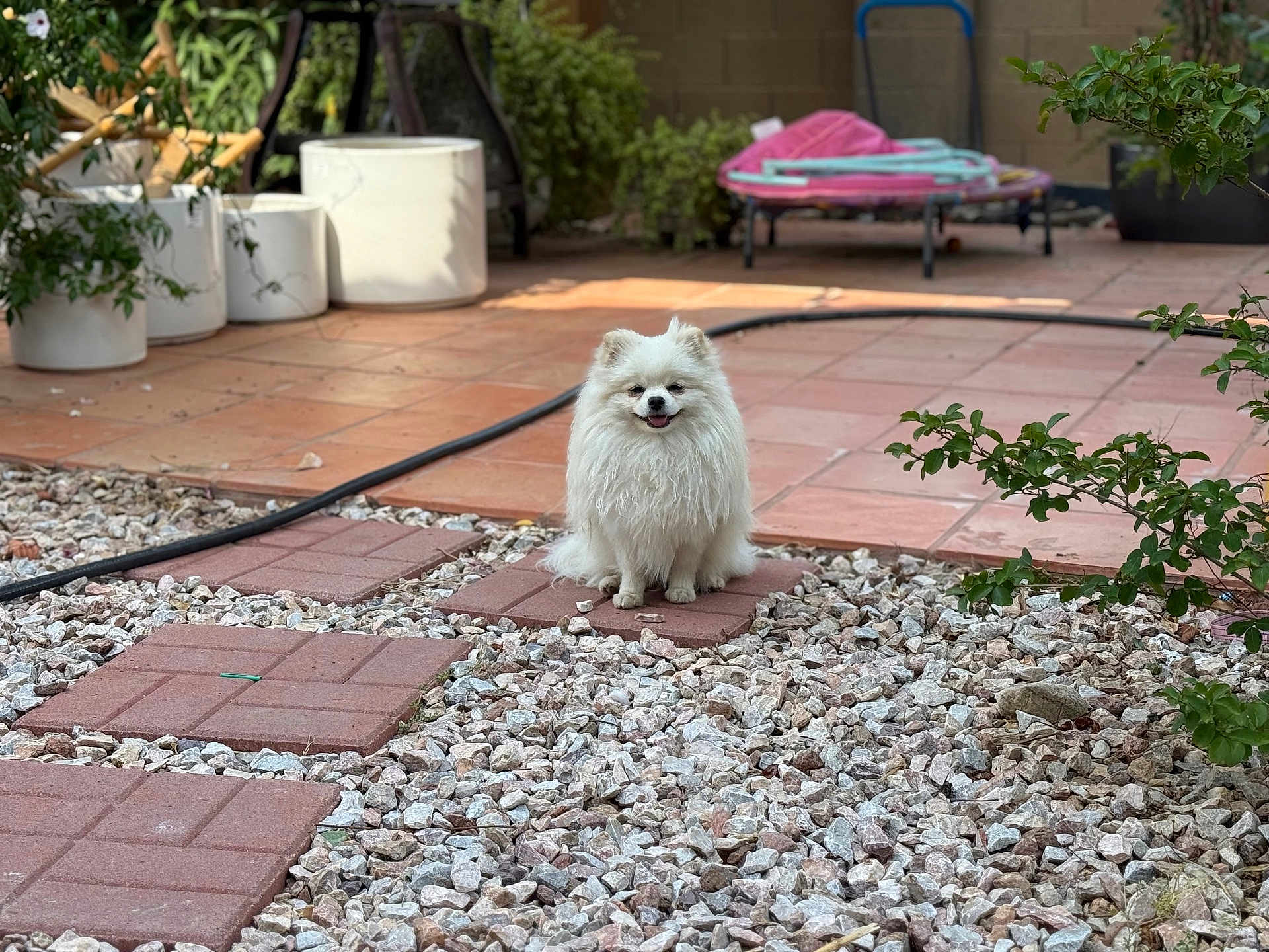 Max
