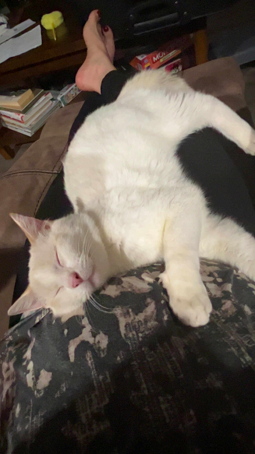 Leo