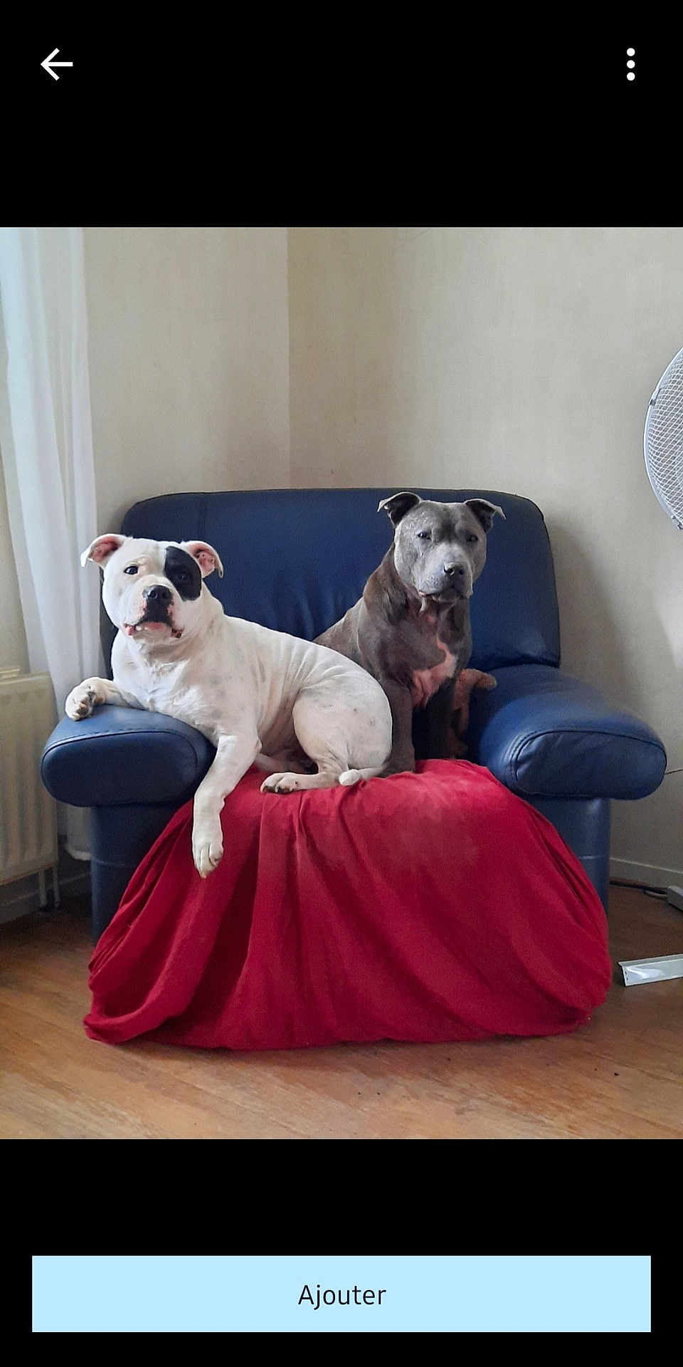 Payton Et Nexus