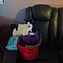 cat, black_and_white, laundry_basket, purple_bag, chair, leather, indoor, pet, animal, household, curious, feline, sitting, cozy, wall, bag, seat, domestic, comfort, relaxed